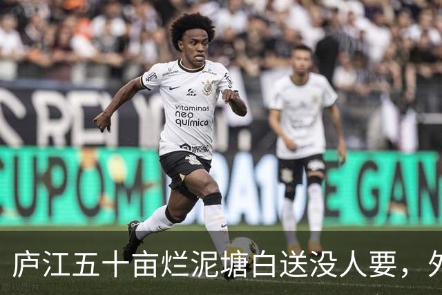 庐江五十亩烂泥塘白送没人要,外乡人租六年,藕卖完连夜走了